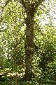 [ pilt: 070  IMG_3595 XC  .JPG ]